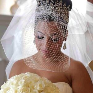 Crystal Vine Regal Bridal Tiara & Birdcage Veil Set